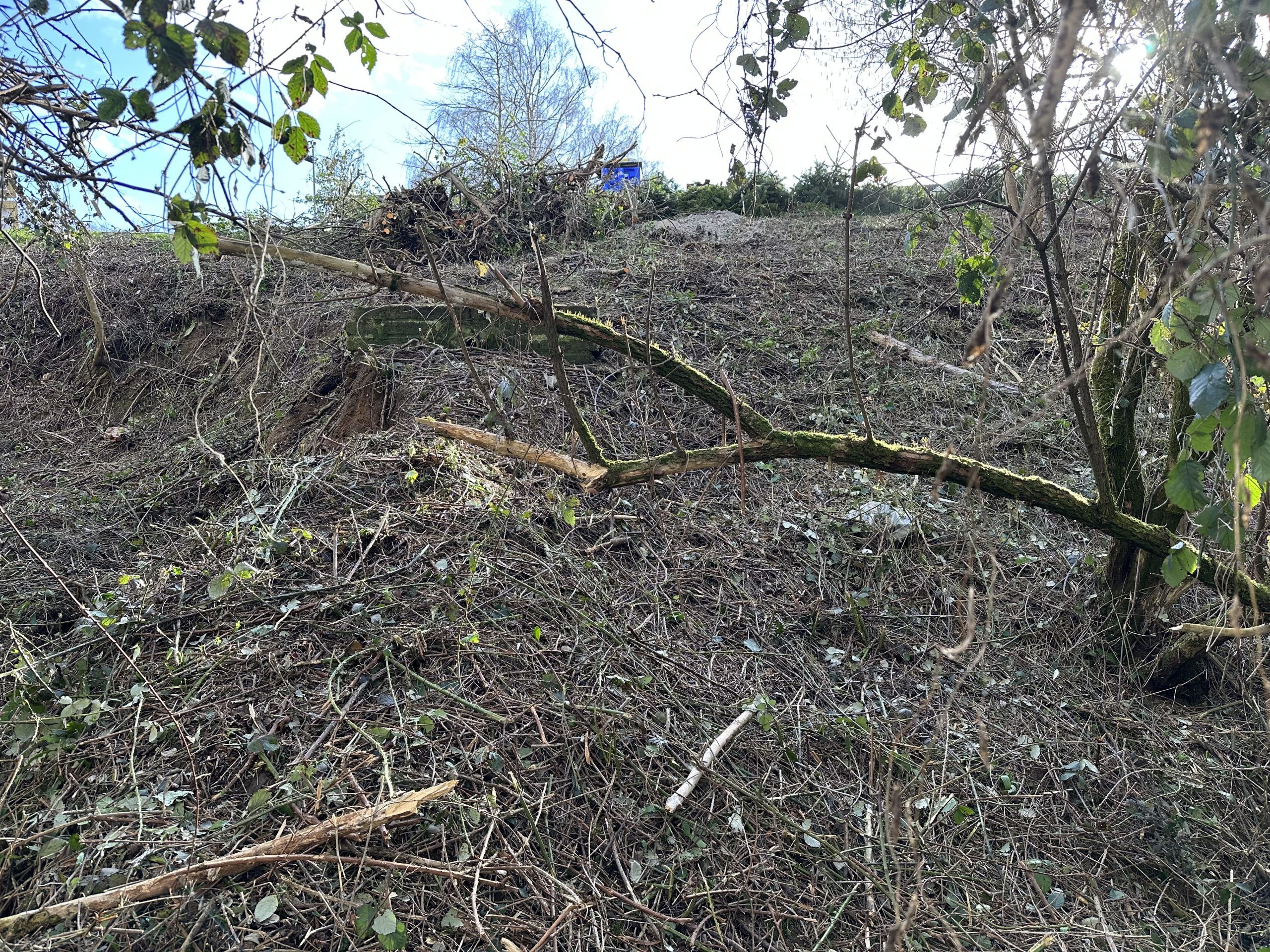 Brush-covered hillside with cut branches during river bank clearance