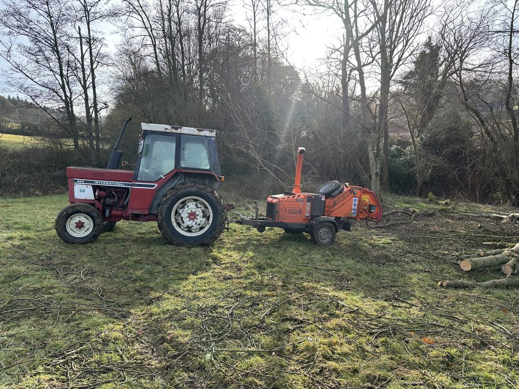 Red International 484 tractor towing an orange wood chipper in a grassy clearing with cut branches and logs nearby