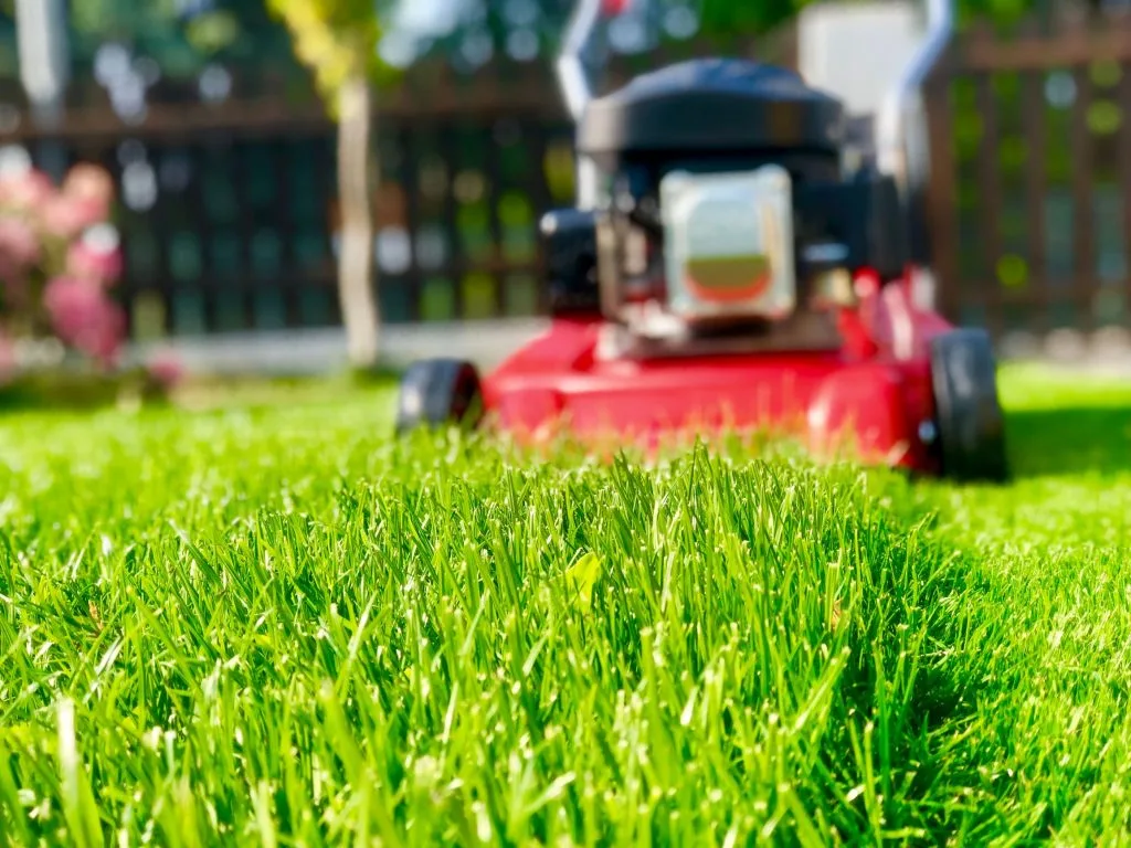 Professionally maintained lawn and landscape