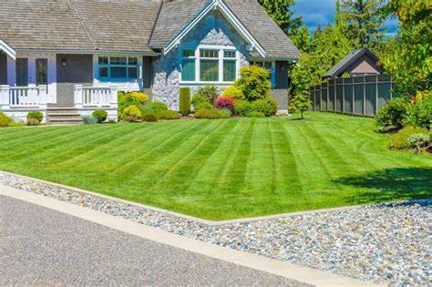 Lush green lawn maintained with professional lawn care services