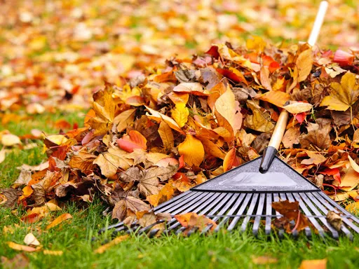 Seasonal Clean-up service by Sunset Lawn and Landscape in Marlton NJ
