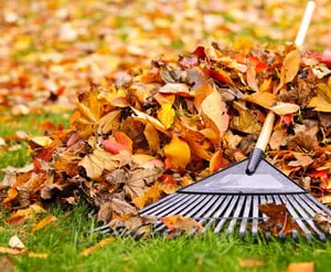 Seeding service by Sunset Lawn and Landscape in Marlton NJ