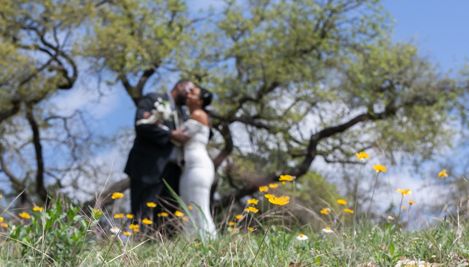 Outdoor ceremony space at Star Hill Ranch