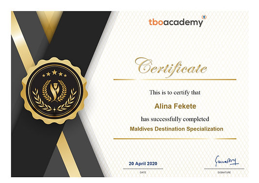 Professional Travel Certification