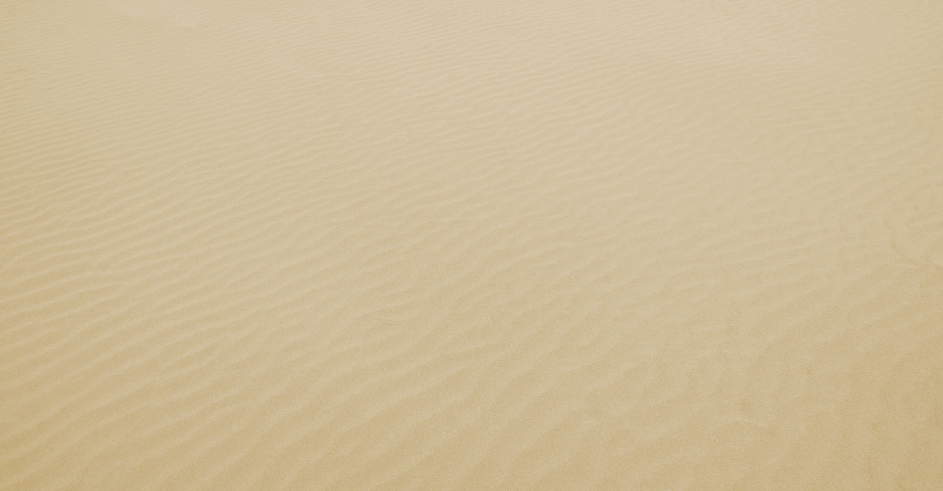 Wind-formed ripples across Omani desert sand