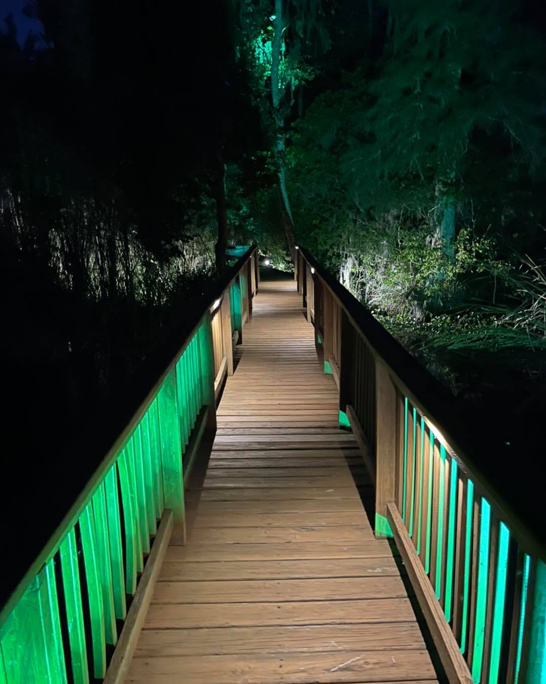 Illuminated boardwalk pathway with LED accent lighting at night