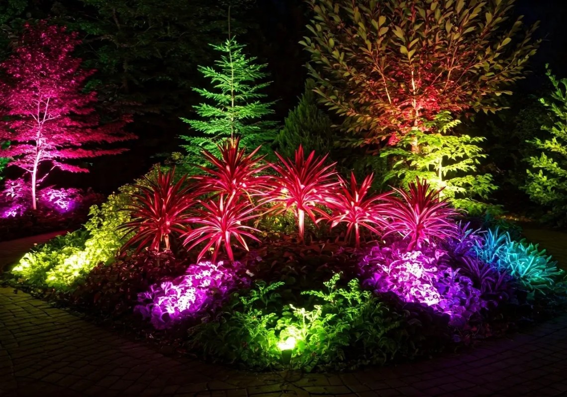 Nighttime garden landscape with ornamental trees and tropical plants illuminated by colorful LED uplighting