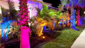 Landscaped garden with palm trees and shrubs lit by colorful ground spotlights in pink, blue, and amber