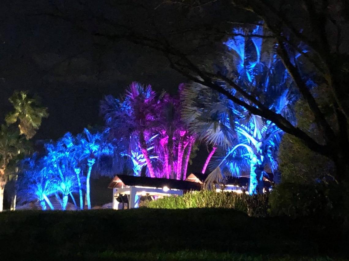 Palm trees and tropical landscaping dramatically lit with blue and magenta uplighting at a resort property