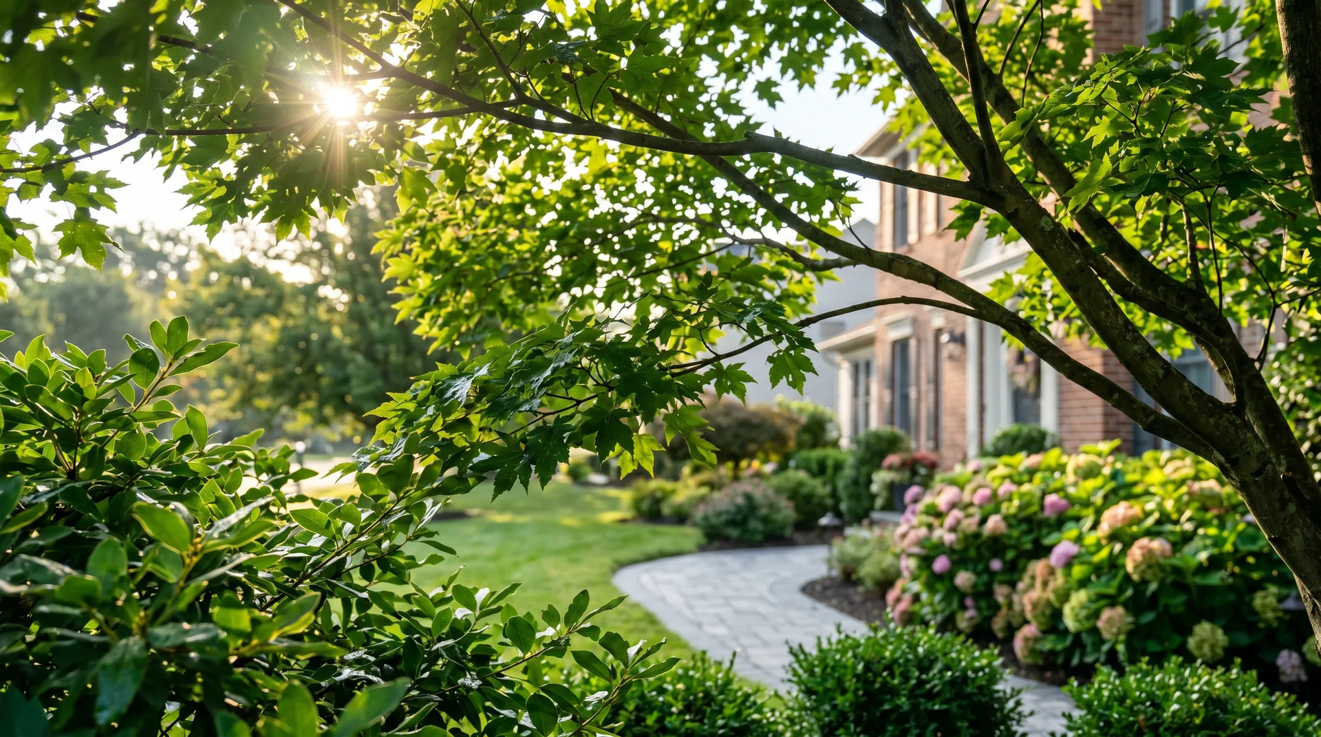 Protecting Your Trees & Shrubs: The IPM Approach