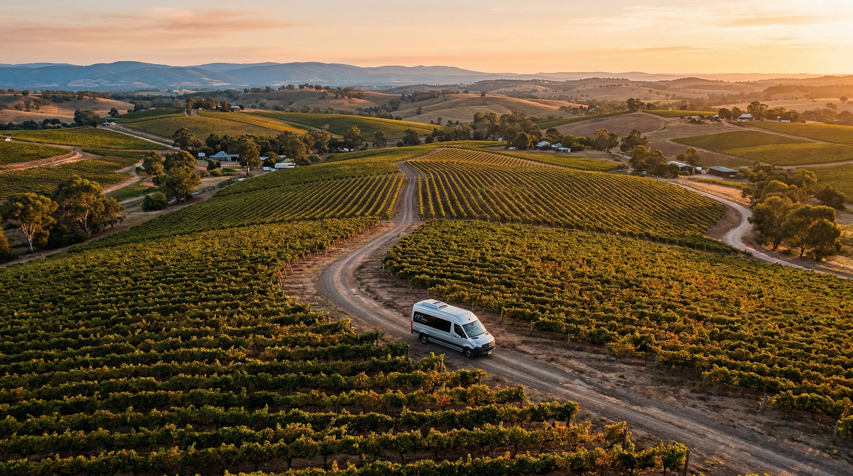 Aerial view of South Australian vineyard at golden hour with tour vehicle