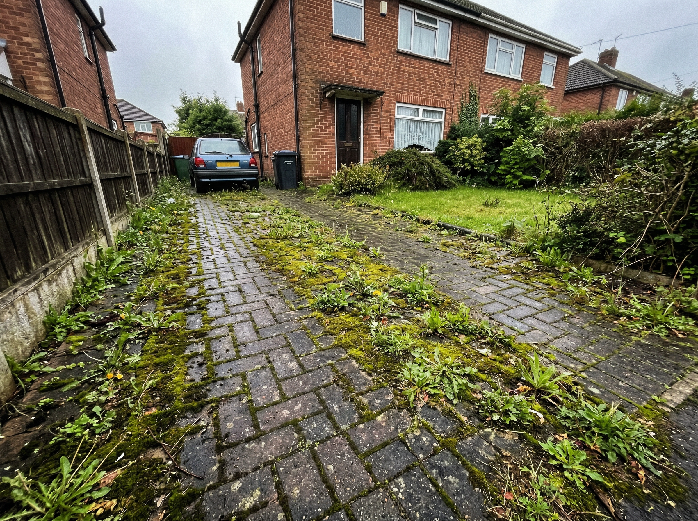 Driveway covered in moss and weeds before pressure washing