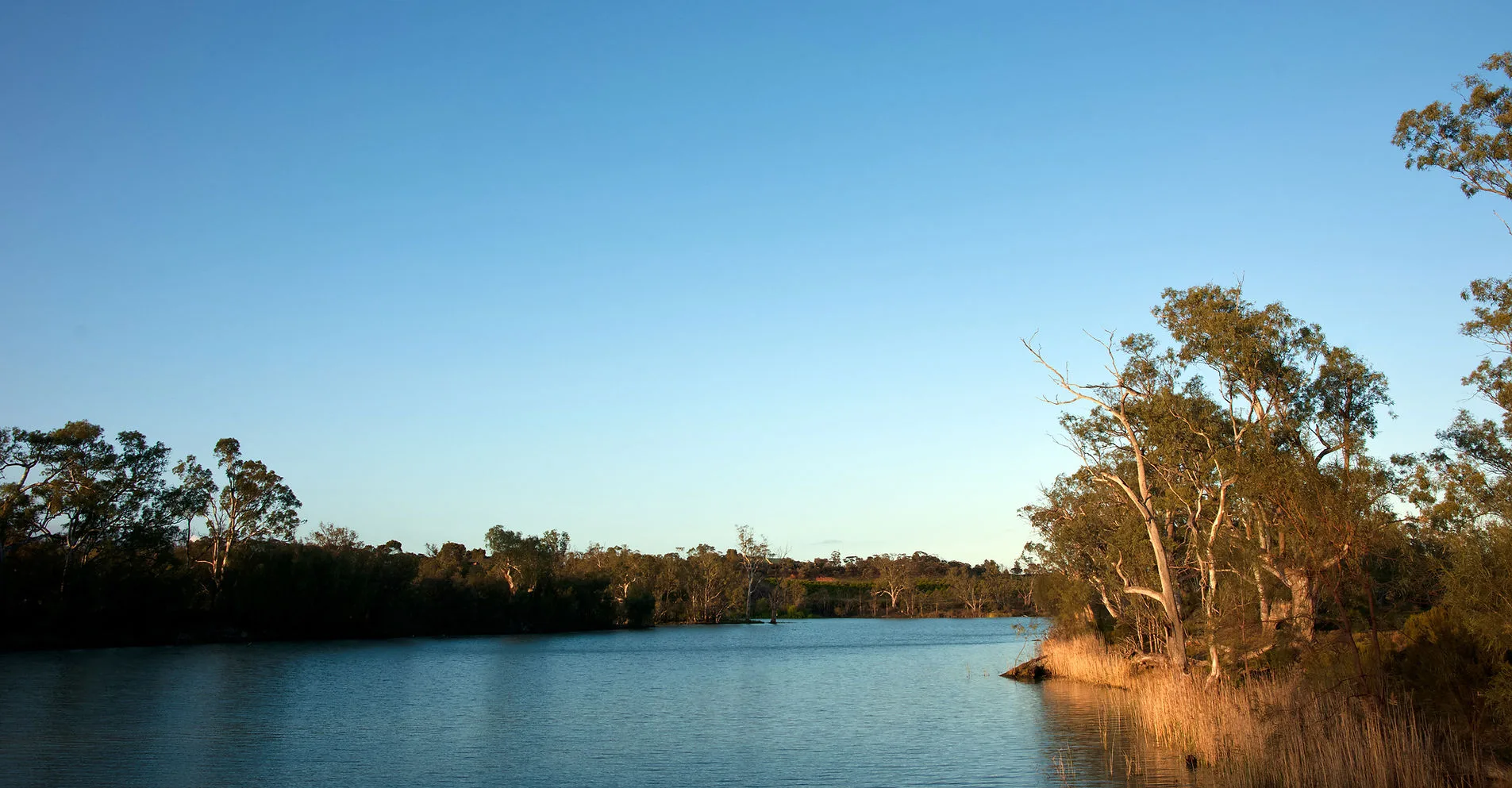 Scenic River Murray views from the cruise deck