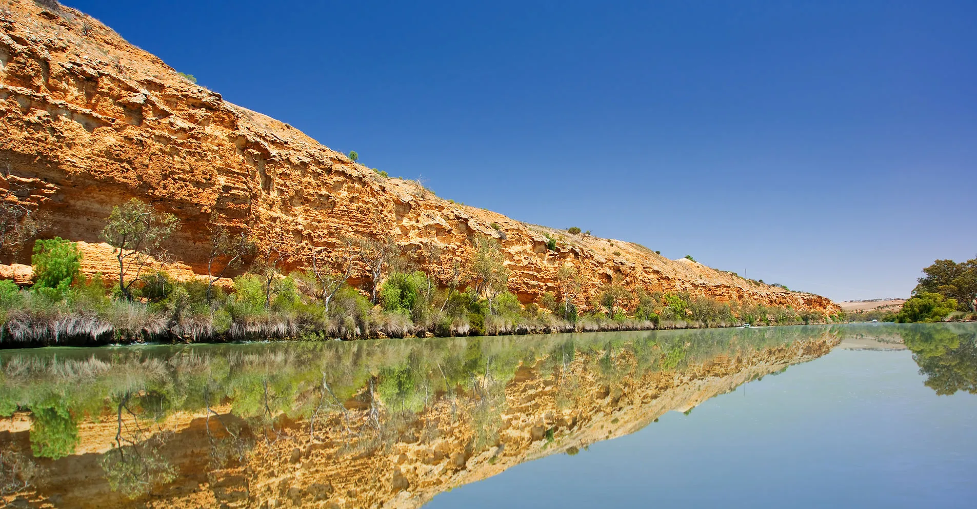 River Murray natural scenery from onboard