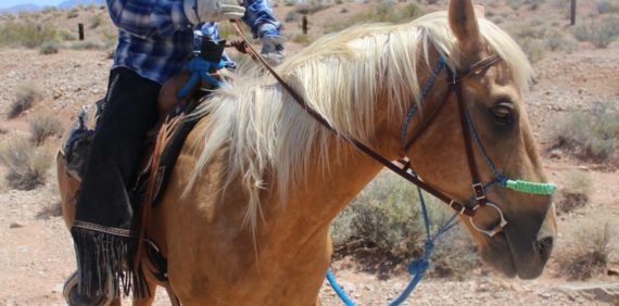 Horseback riders on scenic desert trail near Las Vegas