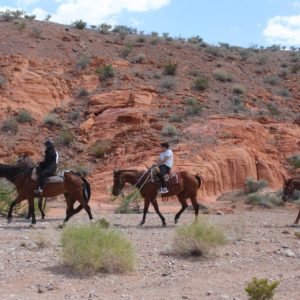 Afternoon Trail Ride - Silver State Horseback Tours