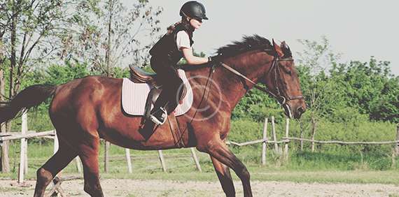 Private Proposal Ride - Silver State Horseback Tours