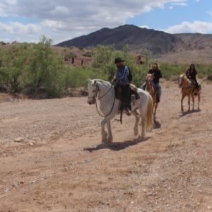 Sunset horseback ride with BBQ dinner near Las Vegas