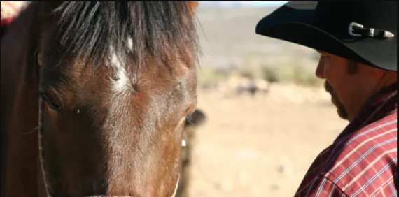 Sunset Ride with BBQ Dinner - Silver State Horseback Tours
