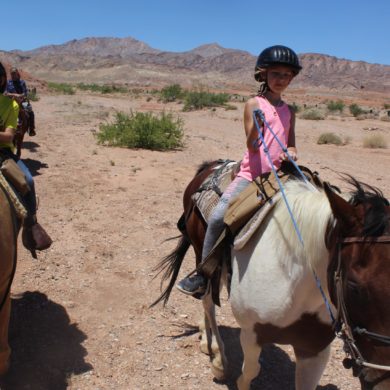 Morning Ride - Silver State Horseback Tours