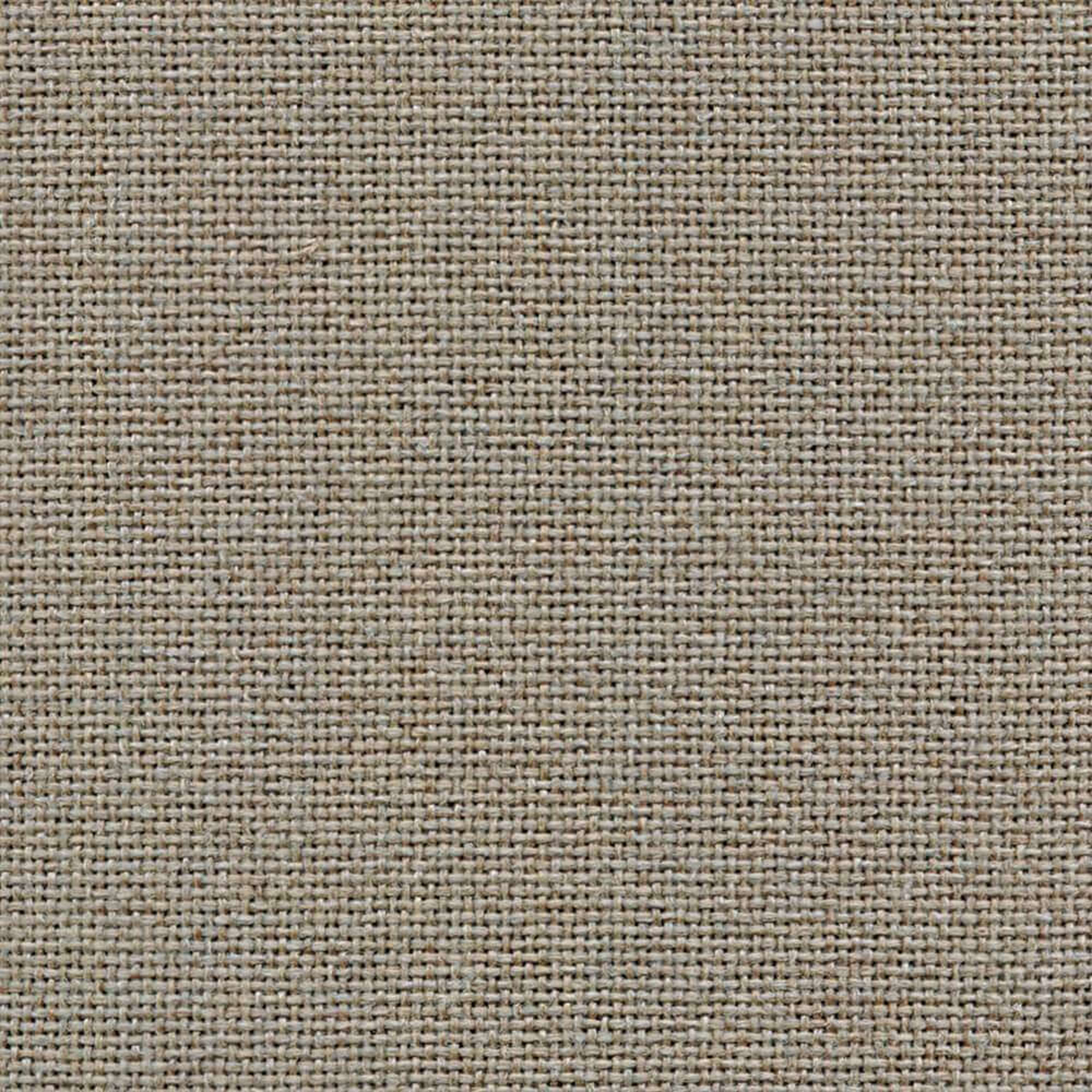 Camira Cara Beltane (EJ193)