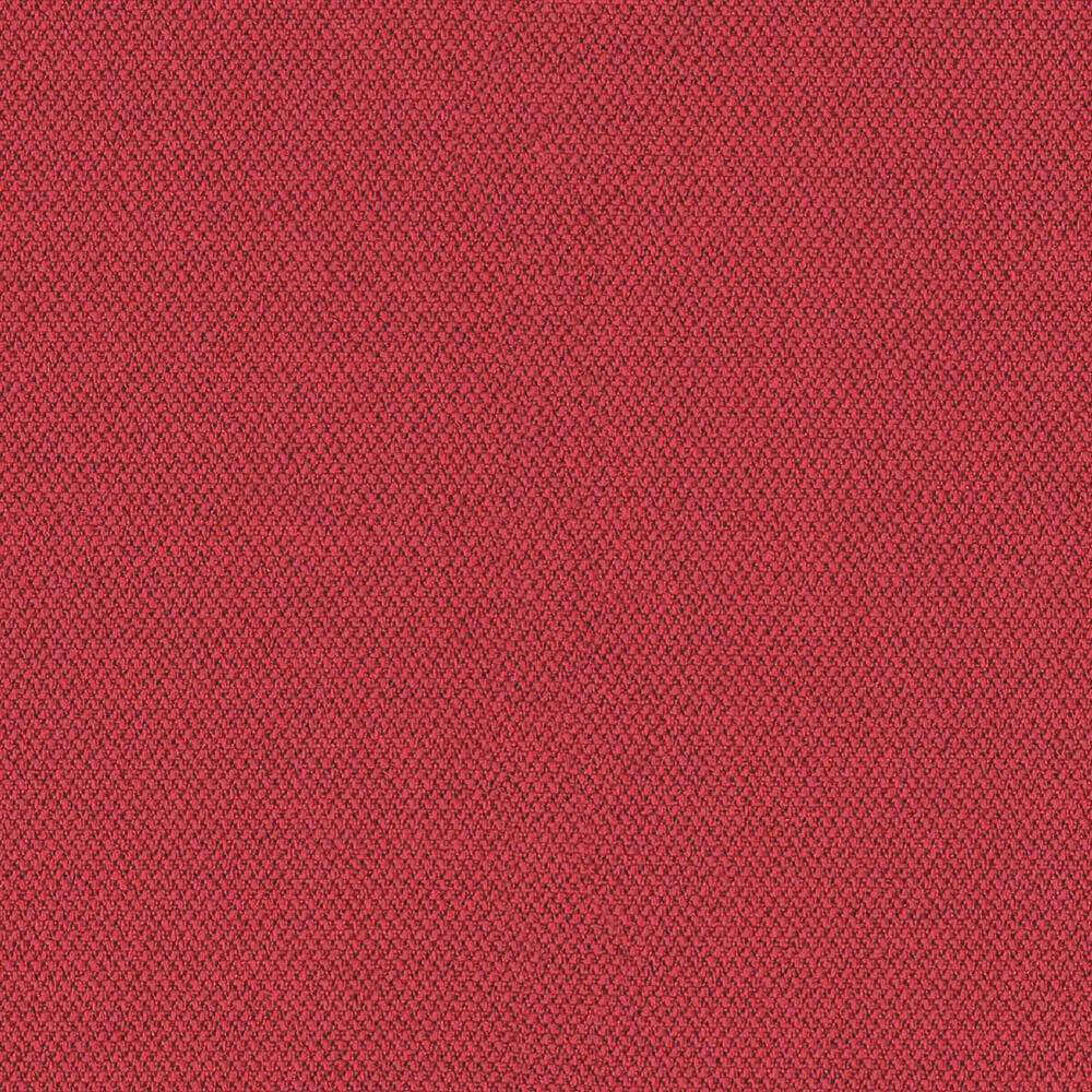 Camira Era Cycle (CSE06)