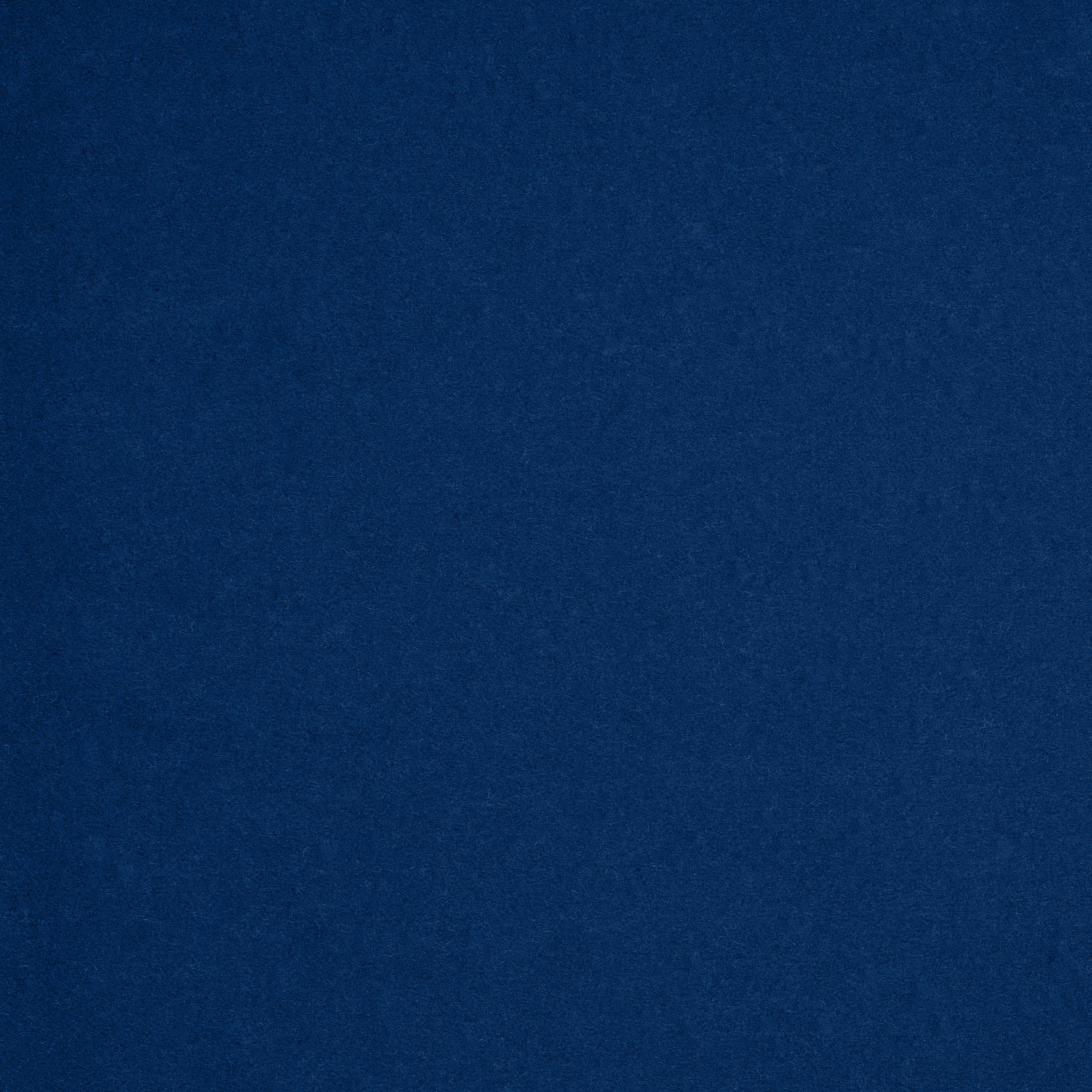 Camira Blazer Edinburgh (CUZ1Y)