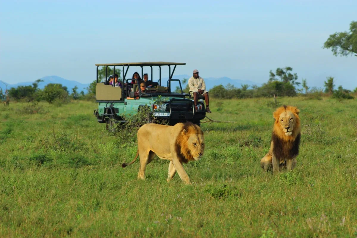 Lukimbi Safari Lodge