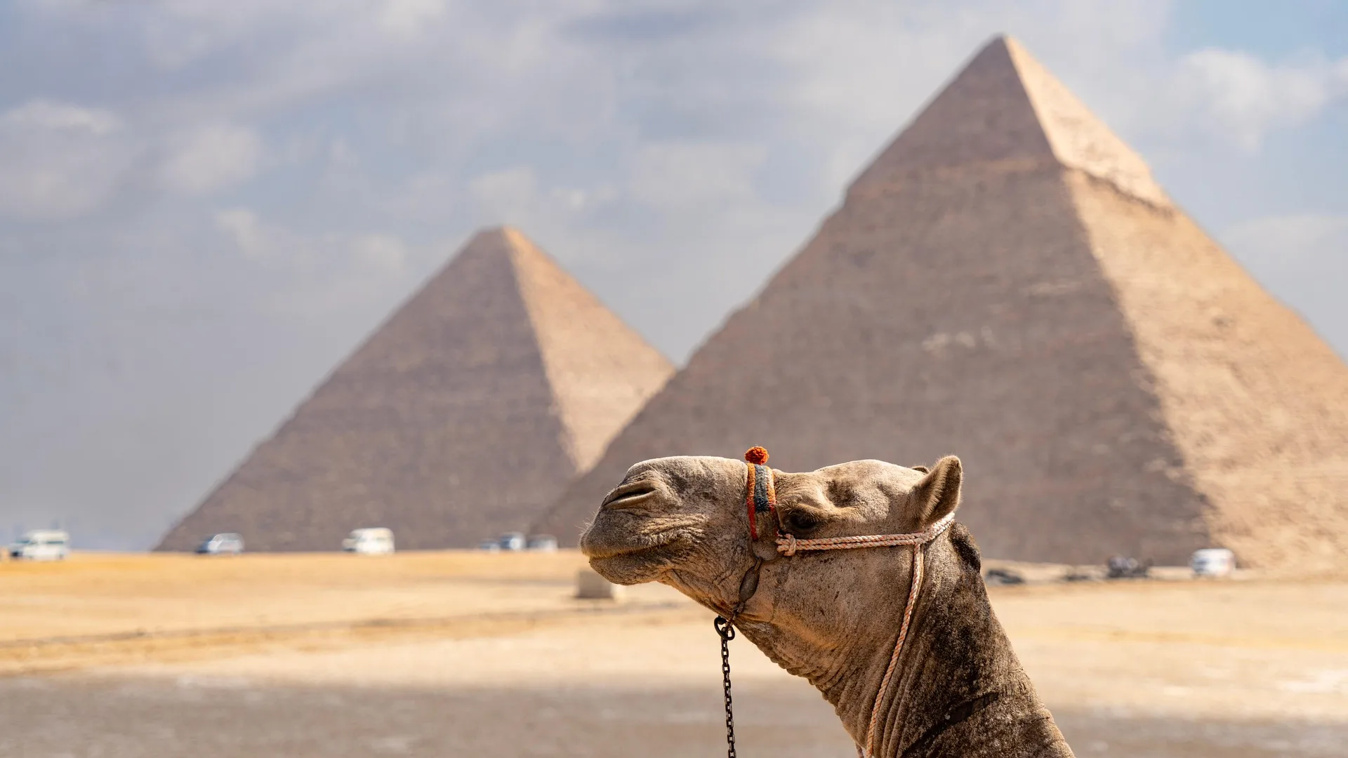 Egypt luxury journey photo 6