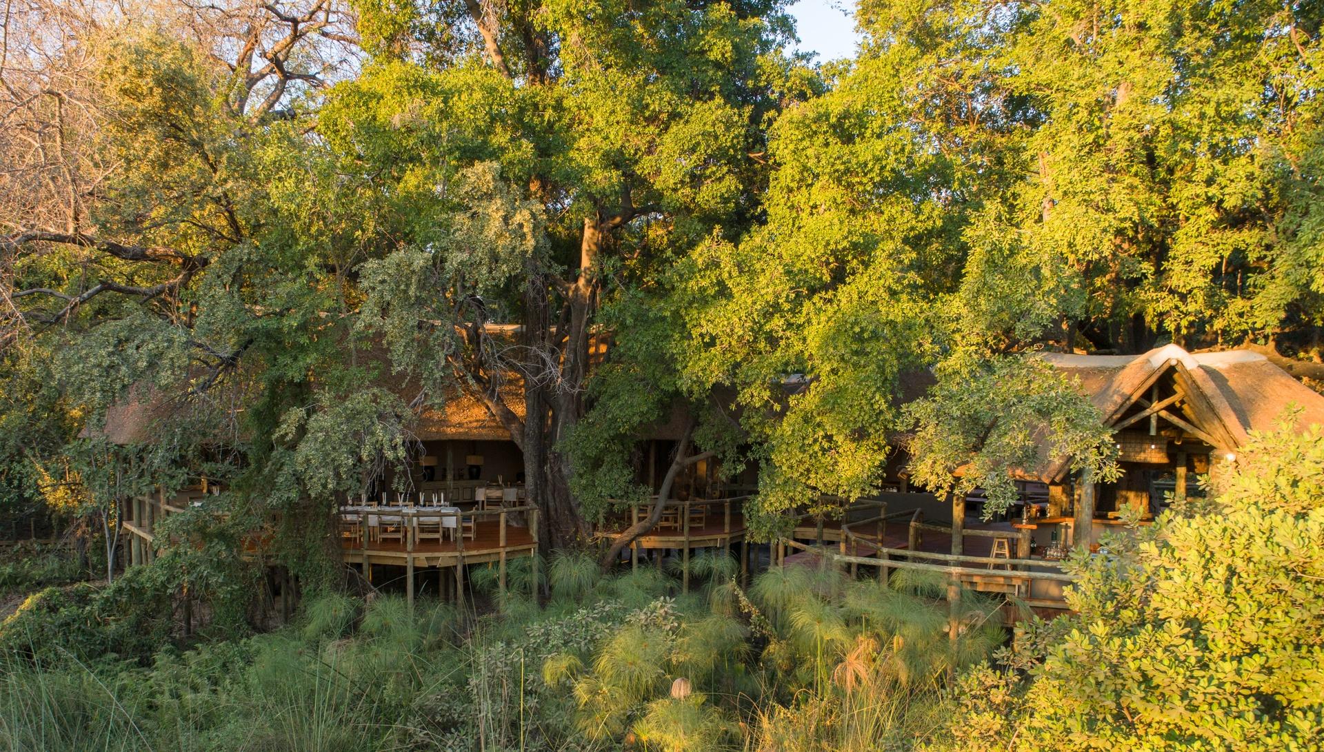 12 Days Luxury Safari: South Africa, Zimbabwe & Botswana