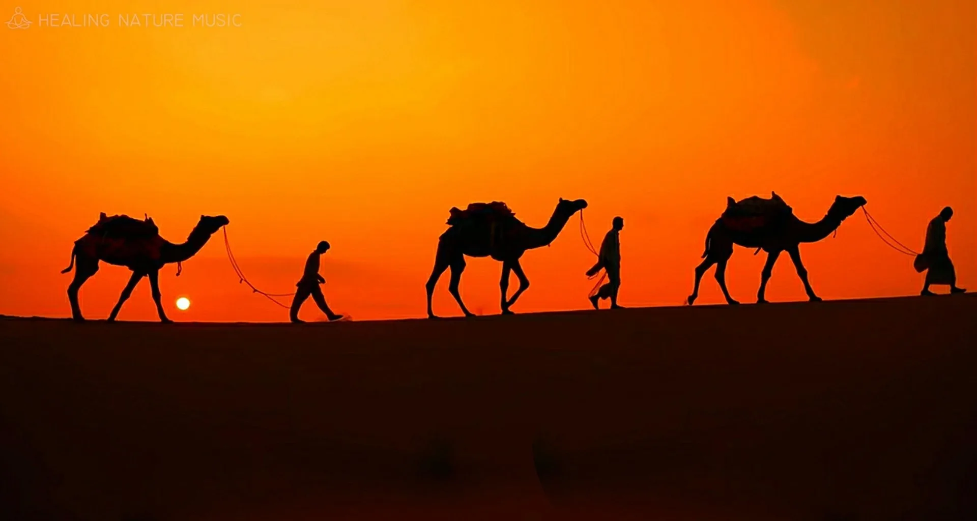 Egypt luxury journey photo 3