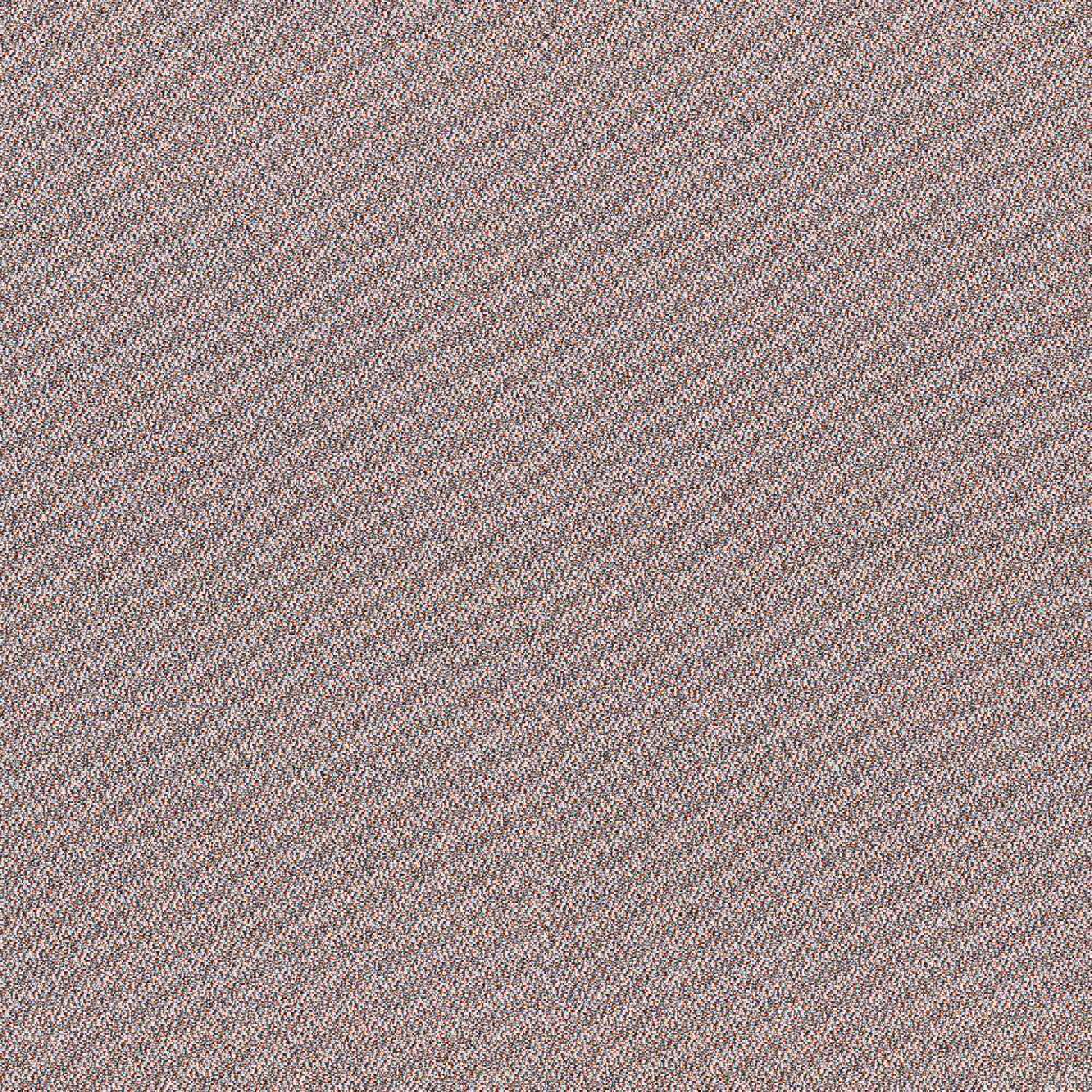 Camira Era Occurrence (CSE23)