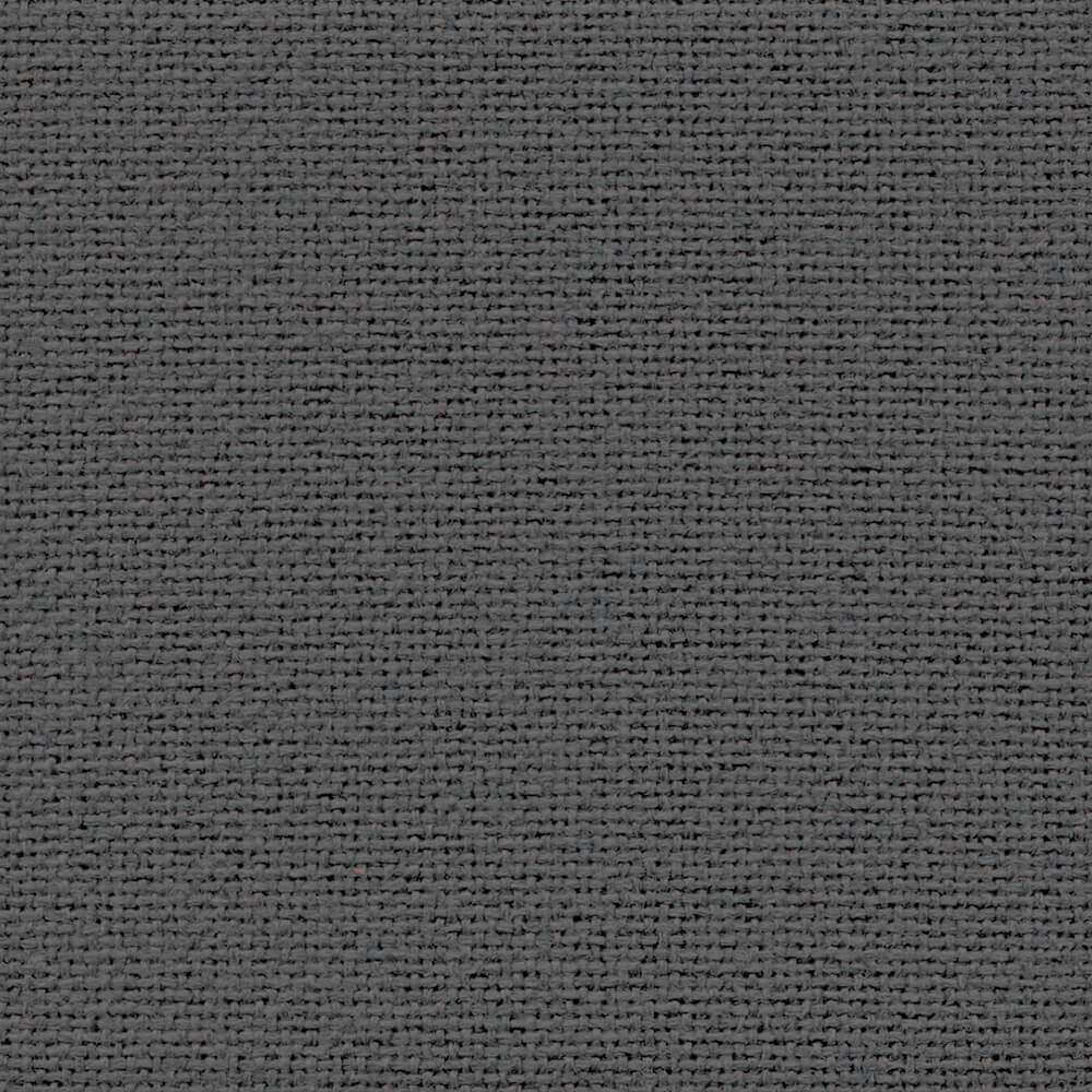 Camira Cara Merrick (EJ048)