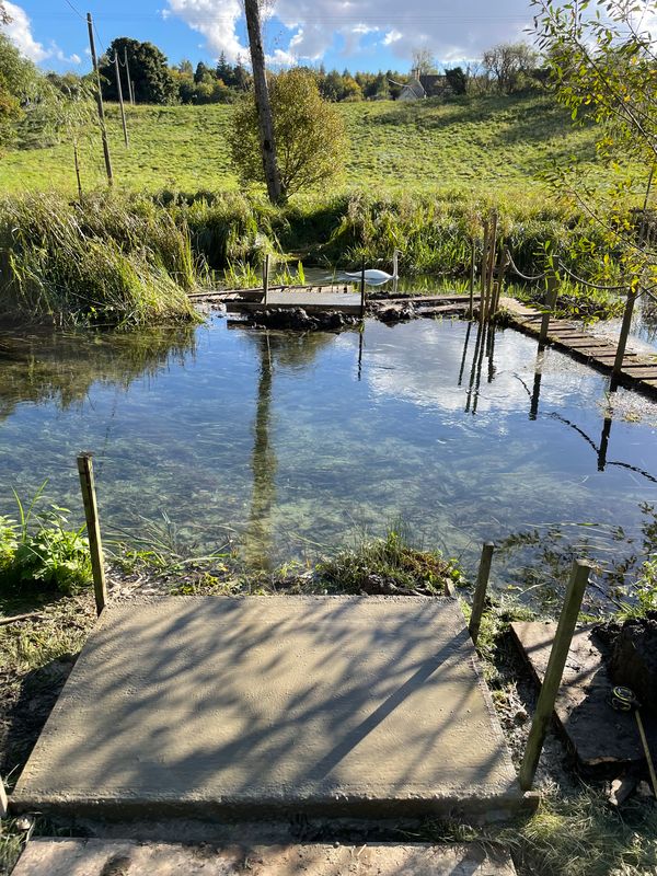 Island restoration — site progress