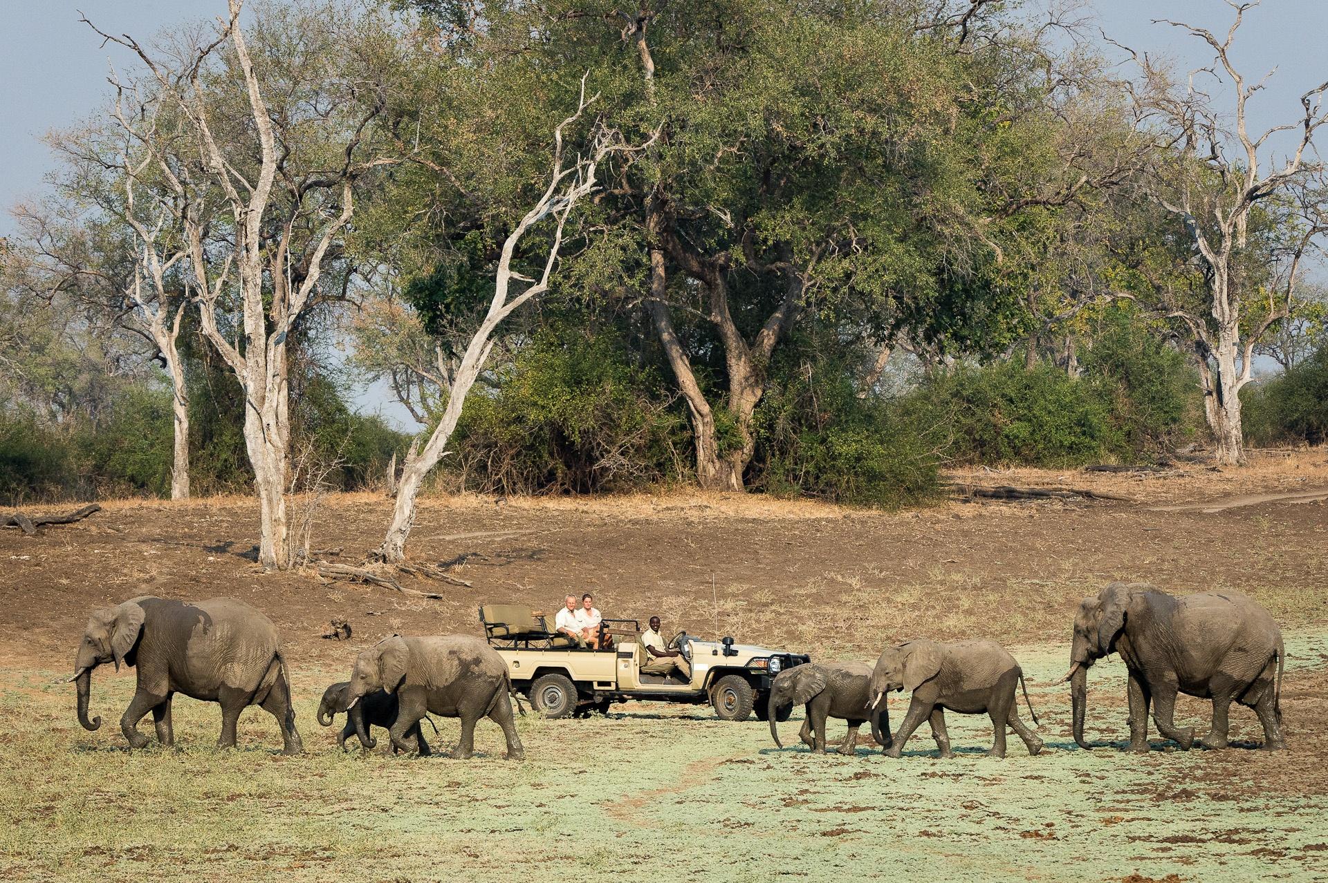 Southern Africa safari expedition photo 3