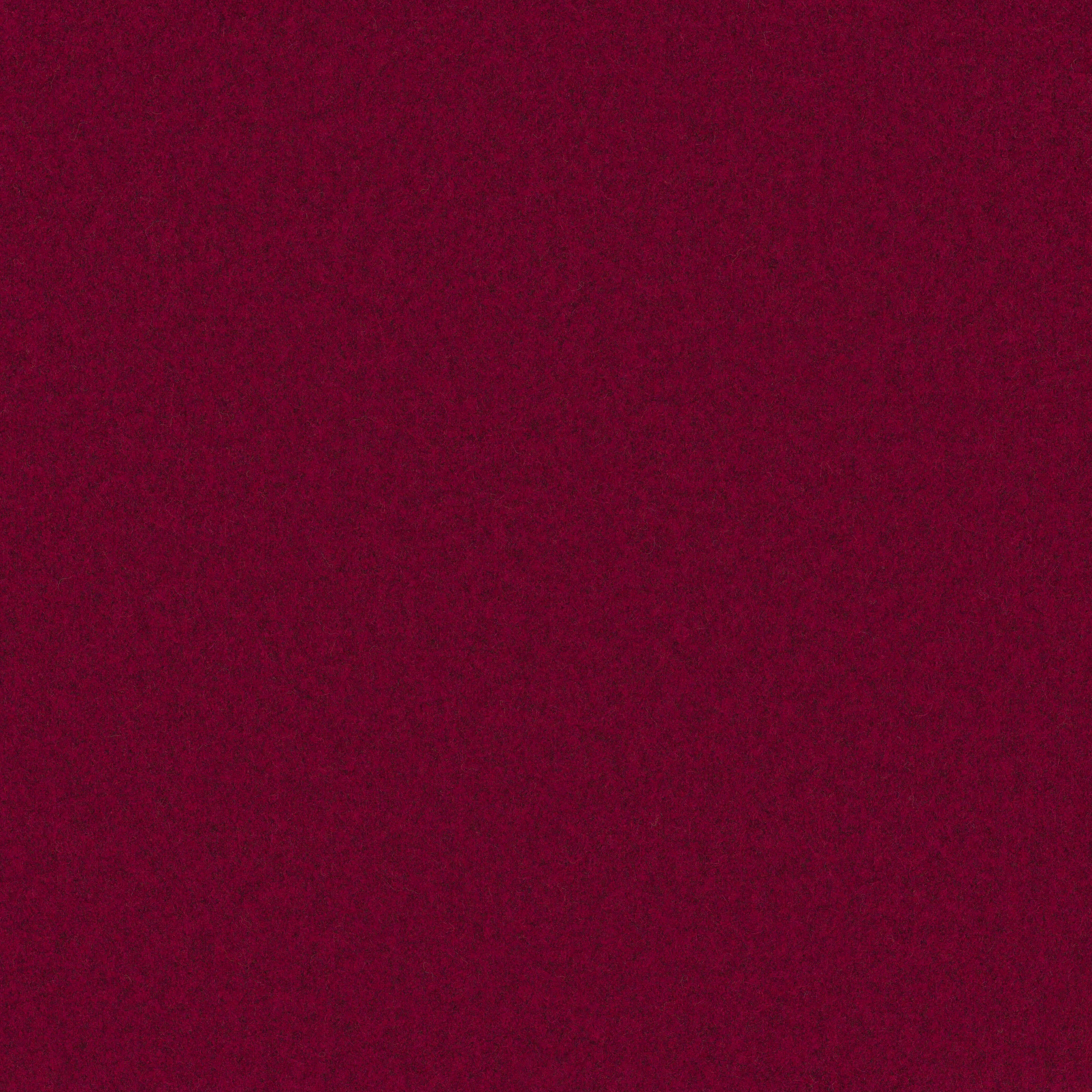 Camira Blazer Moreton (CUZ3W)