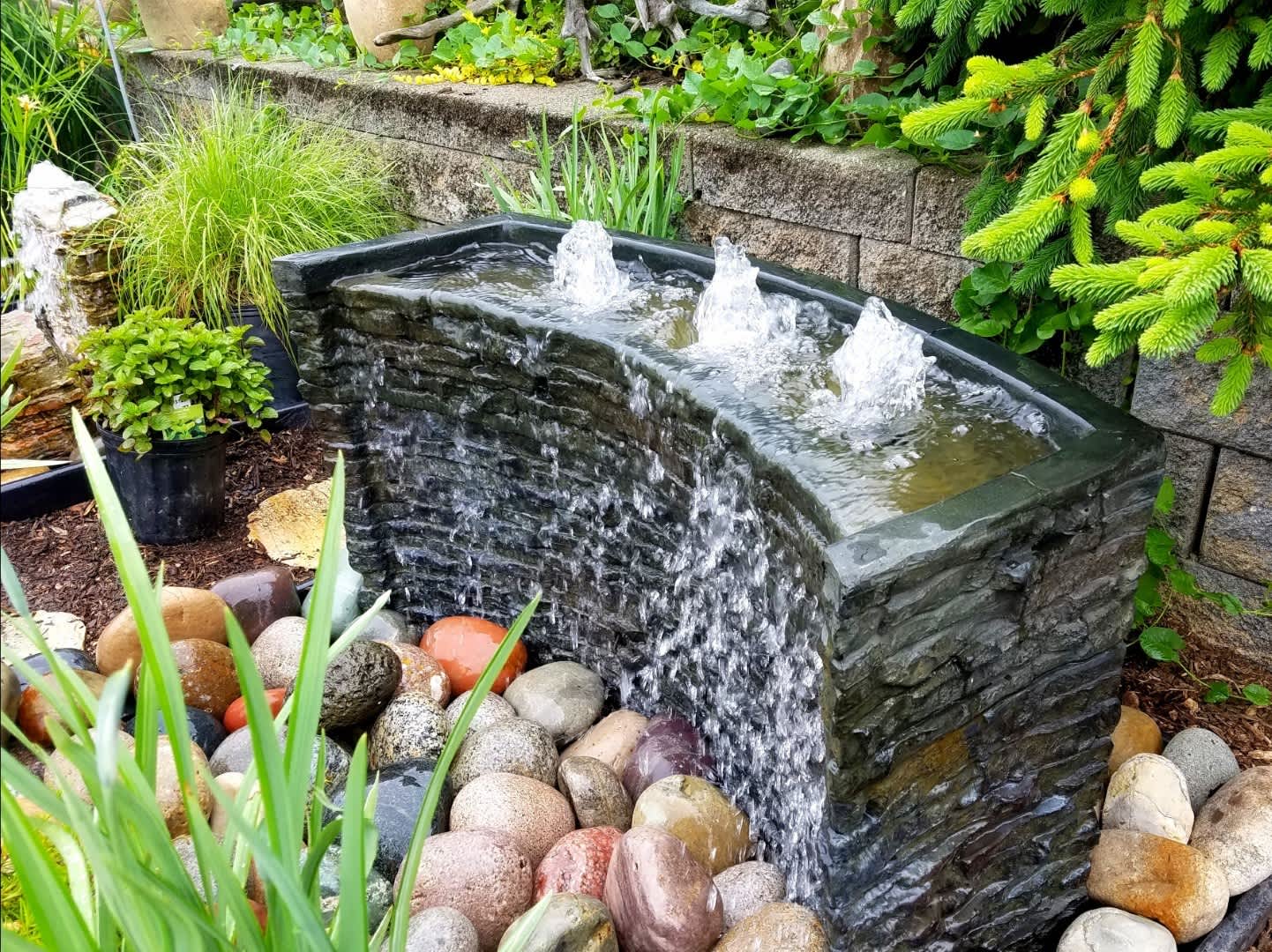 Professional commercial landscape design