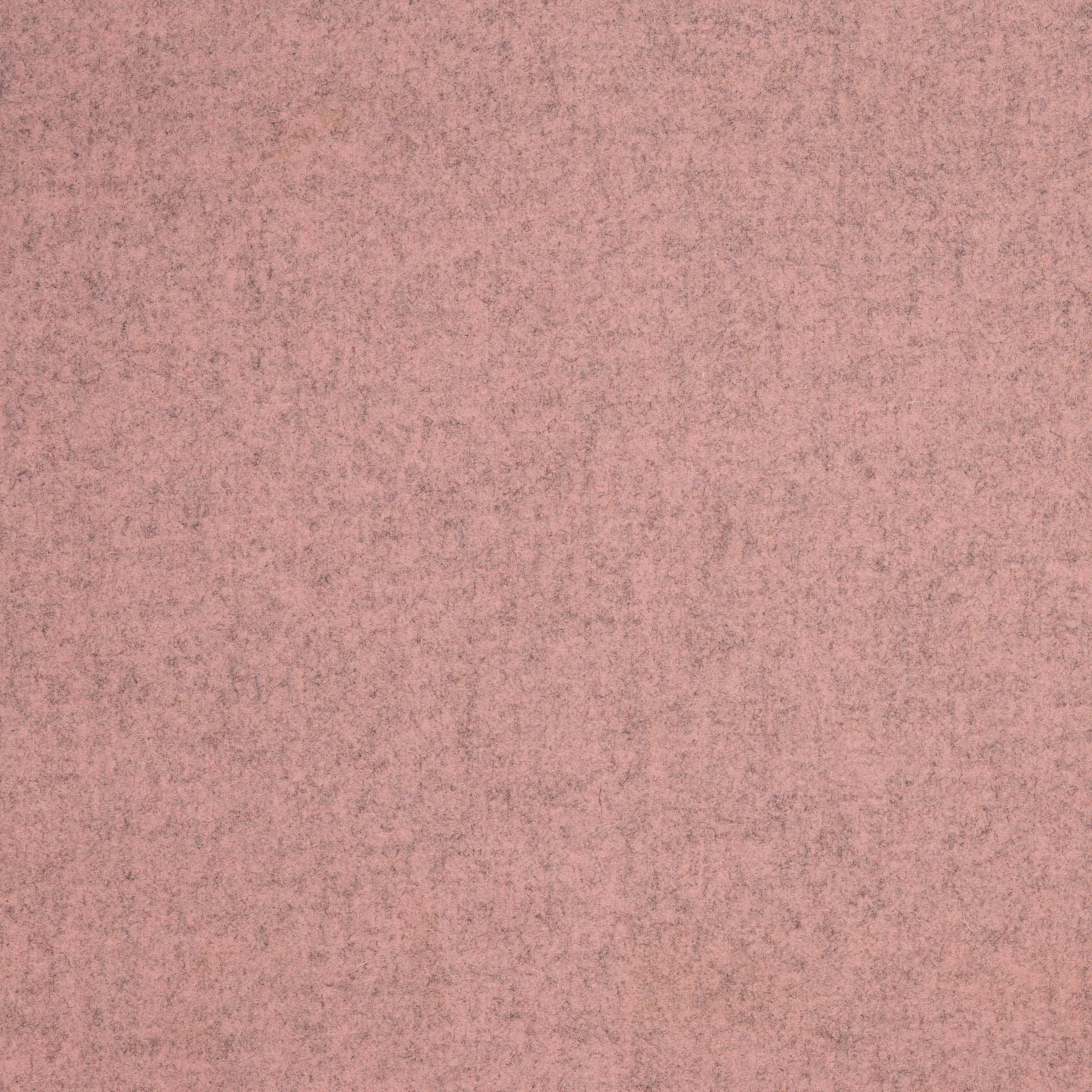 Camira Blazer Earlscliffe (CUZ3T)