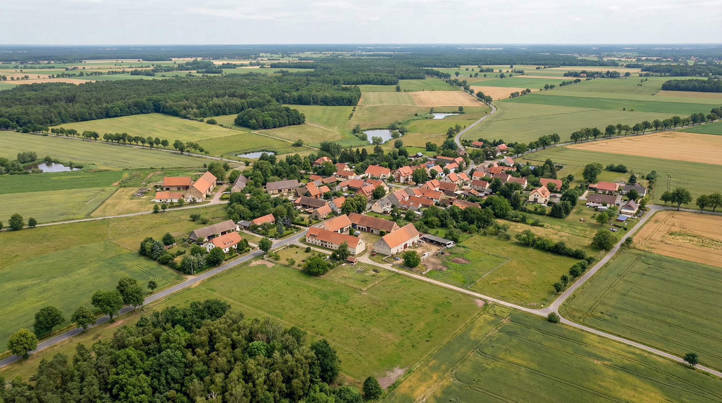 Dachreinigung und Dachbeschichtung in Schöneiche bei Berlin