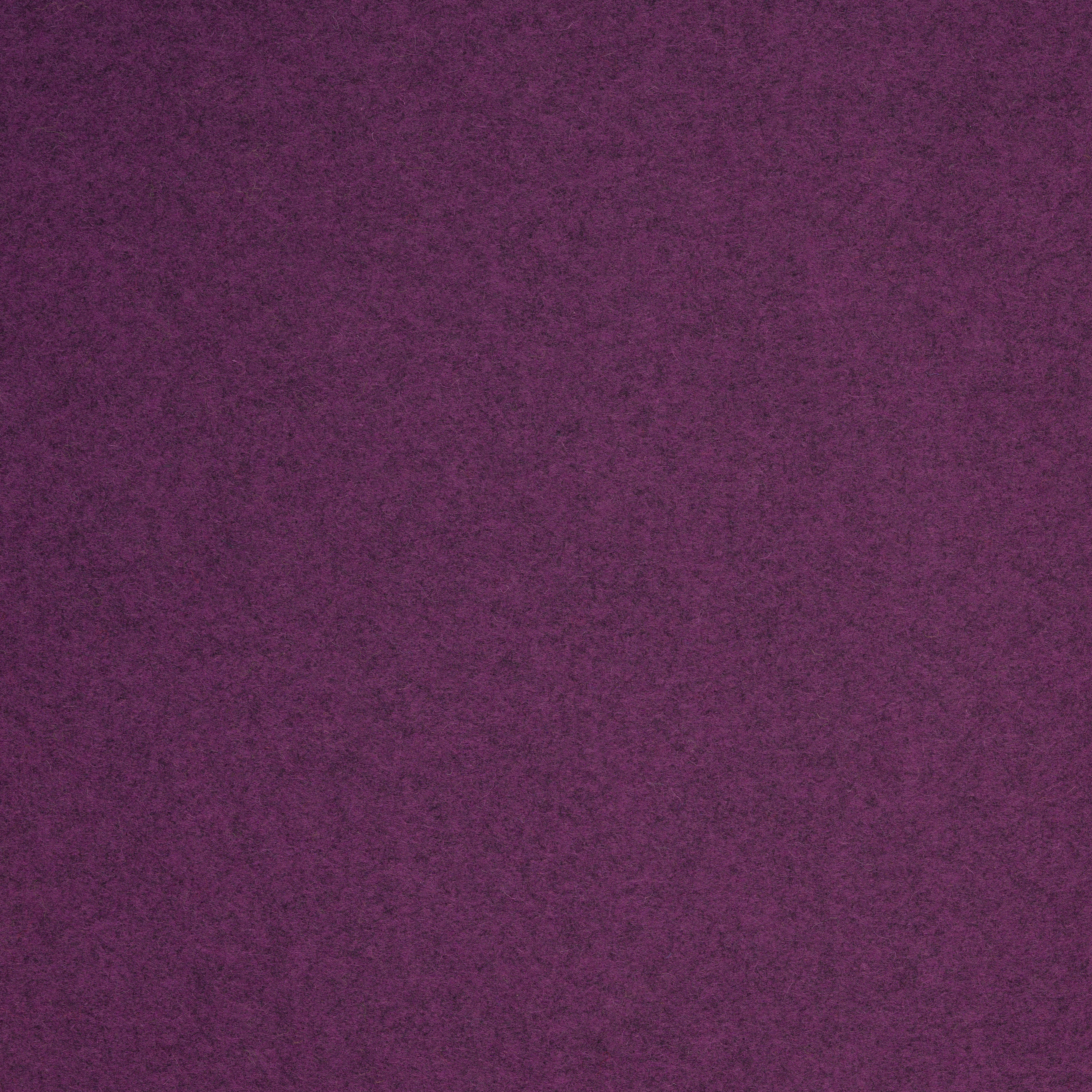 Camira Blazer Holyoke (CUZ2T)